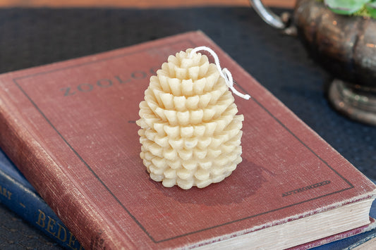 Pinecone
