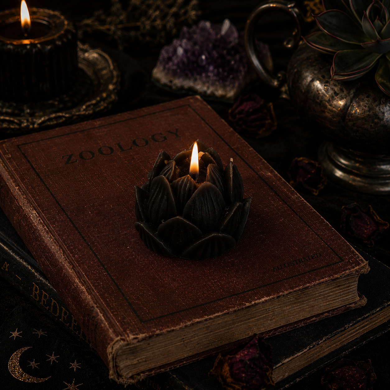 Lotus