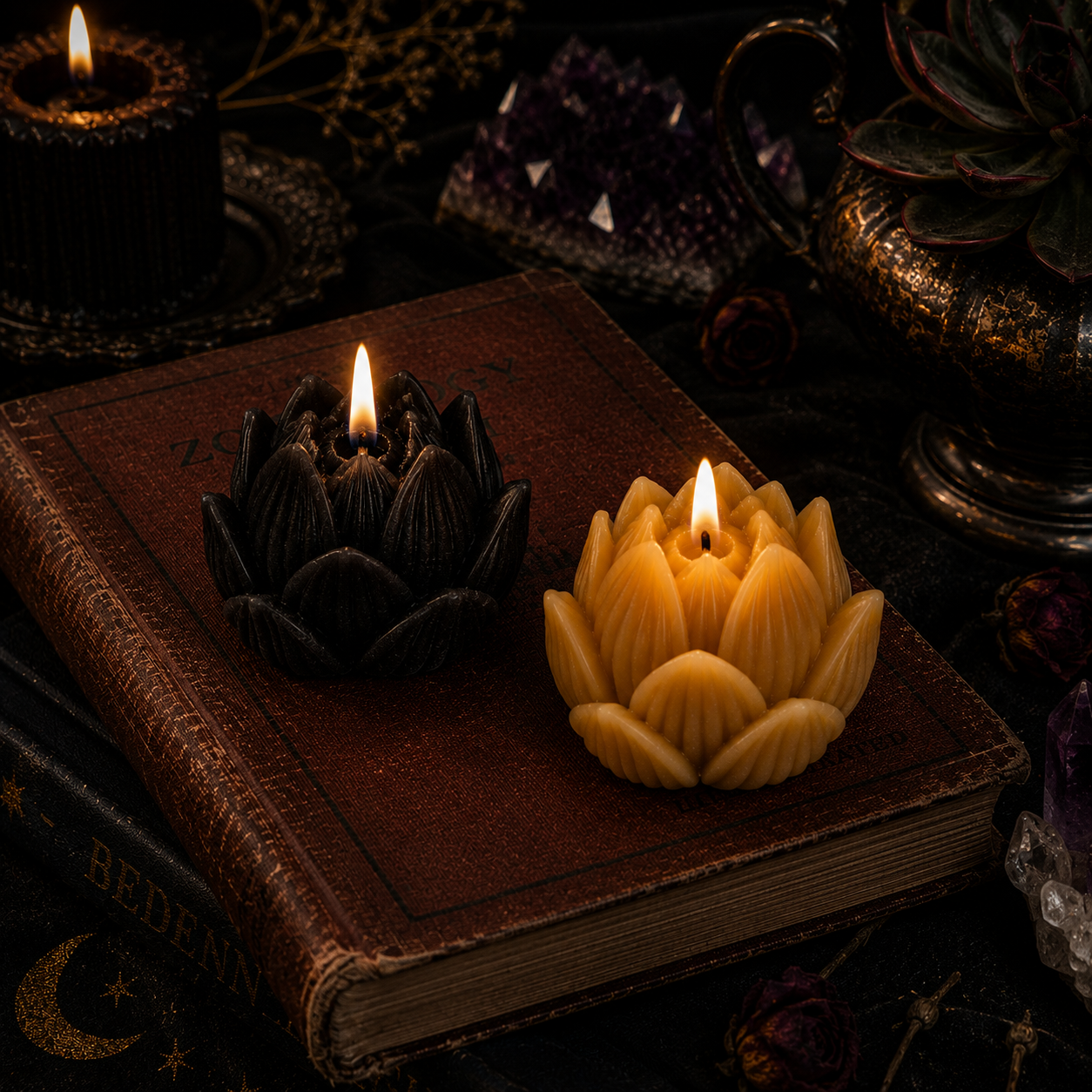 Lotus