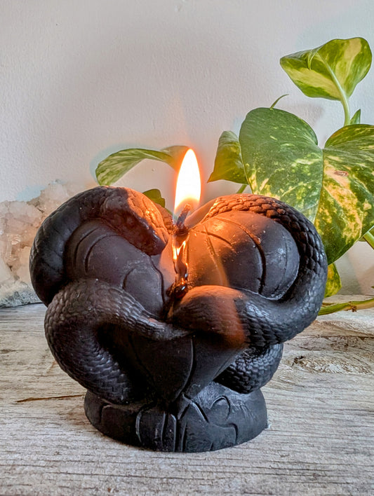 Heart of Me Snake