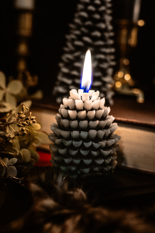handmade pinecone beeswax candle with cotton wick